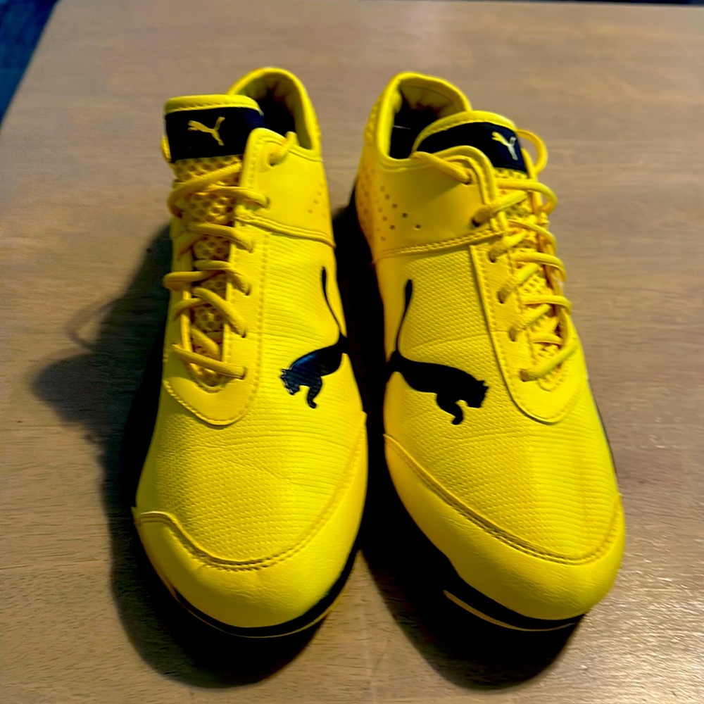 Used 10.5 men’s Puma shoes.